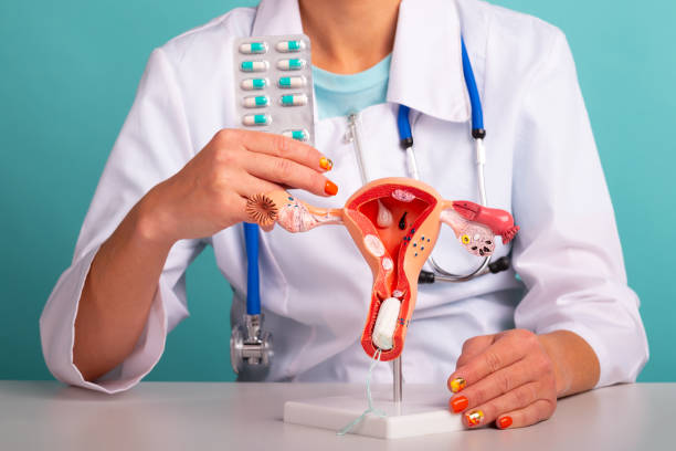 Медицинский работник держит в одной руке модель женской репродуктивной системы, а в другой - блистерную упаковку с таблетками.