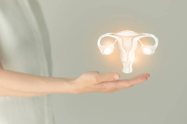 В руке он держит светящуюся 3D-модель женской репродуктивной системы.